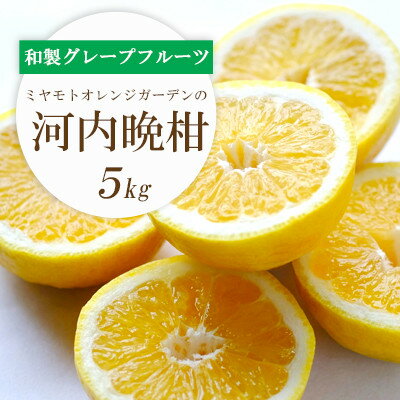 【ふるさと納税】ミヤモトオレンジガーデンの「河内晩柑 5kg」【C25-130】【1151744】