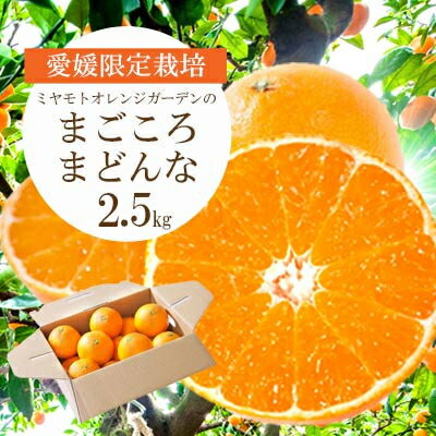 愛媛限定栽培柑橘 紅まどんなと同品種 まどんな(愛媛果試28号)2.5kg[C25-128]