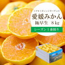 【ふるさと納税】【2025年10月より順次発送】シーズン一番採り!極早生みかん 8kg【訳あり】【C25-131】【1166252】