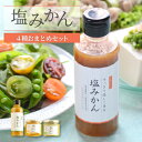 【ふるさと納税】みかんがふわっと香るワンランク上のお料理に!愛媛の新しい調味料 塩みかん4種セット【C25-65】_ 調味料 塩みかん みかん 塩 しお ドレッ...
