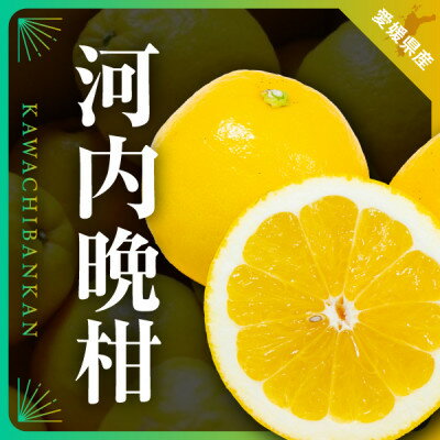 【ふるさと納税】三代目の河内晩柑7kg(家庭用)【C31-30】_ 晩柑 河内晩柑 みかん ミカン 柑橘 フルーツ 果物 くだもの 青果 産地直送 産直 愛媛 甘い ジューシー 冷蔵 和製グレープフルーツ さっぱり 【配送不可地域:離島】【1232986】