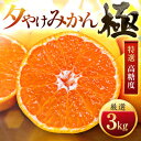 【ふるさと納税】【甘みが濃縮されたみかん】愛媛で育った夕やけみかん【極】3kg(小玉)~【G1243462】