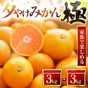 【ふるさと納税】【甘みが濃縮されたみかん】愛媛で育った夕やけみかん【極】3kg×2箱【D49-9】_ みかん ミカン 柑橘 オリジナル 果物 くだもの フルーツ...
