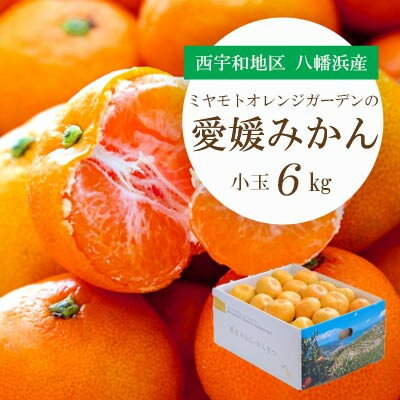 【ふるさと納税】【2025年11月より順次出荷】小さいみかんを厳選!愛媛みかん 小玉6kg【訳あり】【C25-48】_ 訳アリ みかん ミカン 温州 愛媛県 フルーツ 果物 くだもの 柑橘 かんきつ 人気 産地直送【1248066】