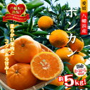 【ふるさと納税】2026年1月出荷開始 爽やかな香り。酸味が少なく甘みの強い「ポンカン」約5kg 【C39-38】【1254540】