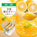 【ふるさと納税】ほろ苦く甘酸っぱいさわやかな味わい 愛媛産 甘夏寒天ゼリー12本セット【D25-17】【1255524】