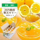 【ふるさと納税】苦味の少ないさっぱり柑橘 和製グレープフルーツ 河内晩柑寒天ゼリー8本セット【C25-24】【1255531】