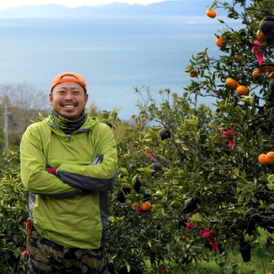 愛媛県八幡浜市の画像2