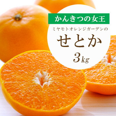 【ふるさと納税】【2025年2月以降発送】とろける濃厚柑橘 