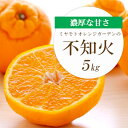 【ふるさと納税】【2026年2月以降発送】デコポンと同品種 濃厚柑橘 不知火(しらぬい) 5kg【D25-125】_ みかん ミカン 柑橘 フルーツ 果物 くだもの 青果 不知火 しらぬい 愛媛 産直 産地直送 国産 甘い 濃厚 旬 希少 【1268367】(4)