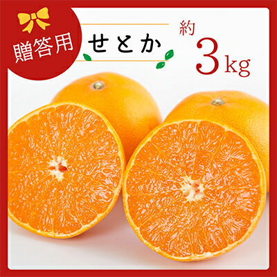 【ふるさと納税】コウ果樹園の 柑橘の大トロ せとか3kg 【C33-1】【1269378】