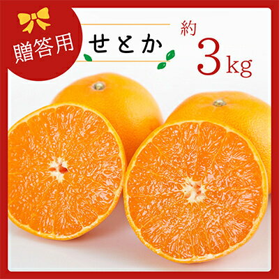 【ふるさと納税】コウ果樹園の「柑橘の大トロ せとか3kg」【C33-1】【1269378】