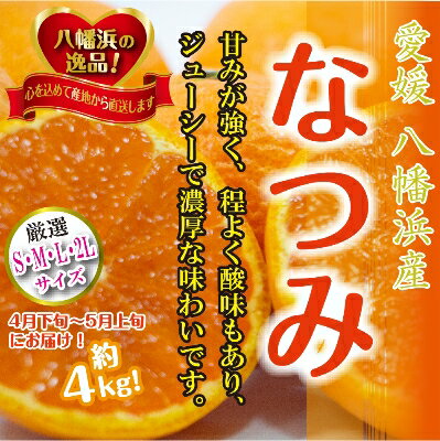 2025年4月発送開始 甘みが強くて濃厚!初夏のみかん「なつみ」4キロ[C39-35][配送不可地域:離島]