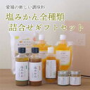 【ふるさと納税】みかんがふわっと香る愛媛の新しい調味料 塩みかん全種詰め合わせセット【D25-81】【1305615】