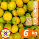 【ふるさと納税】「 極早生 みかん 」 小玉 約6kg《 愛