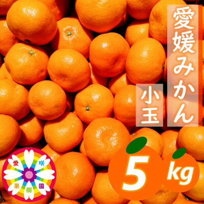 【ふるさと納税】「 愛媛 みかん 」 小玉 約5kg《 愛咲