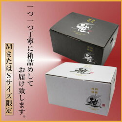 【ふるさと納税】極撰柑橘“雅”光センサー合格品「八幡浜温州みかん」4キロ 【C39-41】【1339046】 画像2