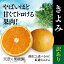 【ふるさと納税】【訳あり】天空の果樹園から届く　そらきよみ (5kg)【C45-71】【1339372】