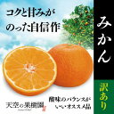 【ふるさと納税】【 訳あり 】 天空 の 果樹園 から届く そら みかん ( 10kg )【C45-28】【1339407】