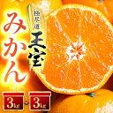 【ふるさと納税】【愛媛名産】玉宝みかん(3kg×2箱)【C6