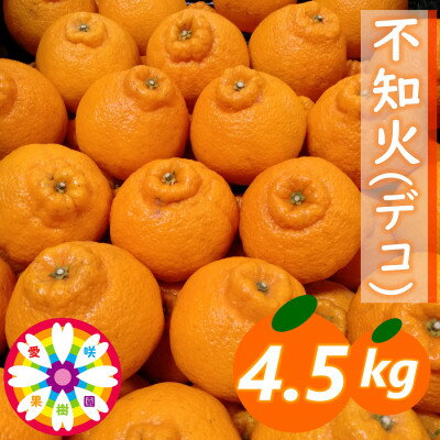 愛咲果樹園 「 不知火 ( デコ )」約4.5kg[C71-12]_ みかん ミカン 柑橘 くだもの 果物 フルーツ 不知火 しらぬい デコ ジューシー 甘い 常温 デザート 産地直送 産直 愛媛 