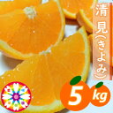 【ふるさと納税】愛咲果樹園 「 清見 」約5kg【C71-14】_ みかん ミカン 柑橘 くだもの 果物 フルーツ 清見 きよみ ジューシー 甘い 常温 デザート 産地直送 産直 愛媛 人気 【1344729】