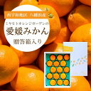 【ふるさと納税】【2025年11月より順次発送】西宇和地区八幡浜産 愛媛みかん贈答用 15個入り【C25-97】【1356897】(4)