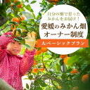 【ふるさと納税】自分の畑が持てる!みかんオーナー制度:Aベーシックプラン【H25-111】ミヤモトオレンジガーデン【1411125】(4)