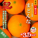 【ふるさと納税】2025年11月発送開始 ぷるぷる食感!「 まどんな 」約3.5 キロ【 訳あり 】【C39-44】_ 訳アリ わけあり みかん ミカン 蜜柑 柑橘 柑橘類 人気 美味しい 愛媛県 八幡浜市 ふるさと フルーツ 果物 くだもの 【配送不可地域:離島】【1419628】(4)
