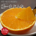 【ふるさと納税】【2025年11月以降発送】ゼリーのような食感!「媛一まどんな」約2.5kg入【C28-42】_ マドンナ 紅まどんな同品種 柑橘 柑橘類 ミカン みかん フルーツ 果物 くだもの 人気 美味しい 愛媛県 八幡浜 ふるさと 【1437098】