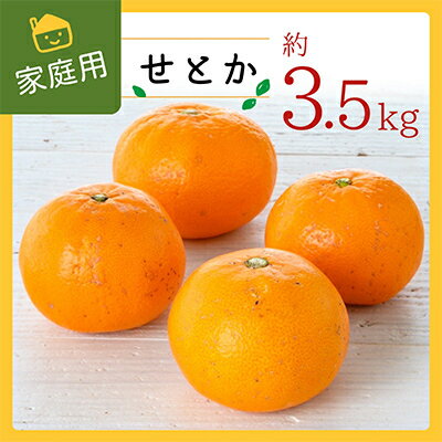 【ふるさと納税】コウ果樹園の家庭用【せとか】3.5kg【C33-31】【1441231】