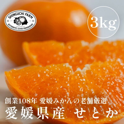 【ふるさと納税】【2026年2月発送】柑橘の大トロ【せとか 3kg】家庭用 愛媛みかんの老舗【C70-9】_ みかん せとか 蜜柑 ミカン 愛媛 柑橘 かんきつ 愛媛みかん 希少 果物 くだもの フルーツ デザート 3kg 家庭用 産直 産地直送 愛媛県 送料無料 【1451140】