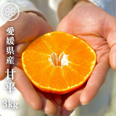 【ふるさと納税】新口農園の厳選【甘平 3kg】【化粧箱】【愛媛県八幡浜産】【C70-11】【1451142】