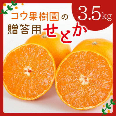 コウ果樹園の贈答用[せとか]3.5kg(バラ詰め)[C33-34]