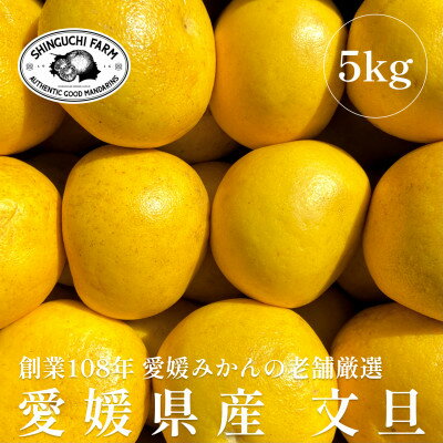 [木成り完熟]新口農園厳選 文旦 5kg[C70-31]