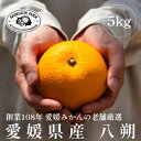【ふるさと納税】創業百八年 愛媛みかんの老舗【八朔5kg】家庭用【新口農園】【C70-28】【1470659】