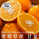 【ふるさと納税】愛媛みかんの老舗厳選【甘夏10kg】【D70-27】_ みかん ミカン 柑橘 フルーツ 果物 くだもの 青果 甘夏 あまなつ 産地直送 産直 愛媛 甘い ジューシー 常温 家庭用 希少 名産地 木成り 完熟 【1470661】
