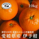 【ふるさと納税】創業百八年 愛媛みかんの老舗【伊予柑10kg】【新口農園】【D70-13】_ みかん ミカン 柑橘 フルーツ 果物 くだもの 青果 いよかん イヨカン 伊予柑 産地直送 産直 愛媛 甘い ジューシー 常温 家庭用 希少 名産地 【1470714】(4)