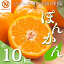 【ふるさと納税】JAにしうわの季節の柑橘(ポンカン 約10kg)【F08-5】【1474210】