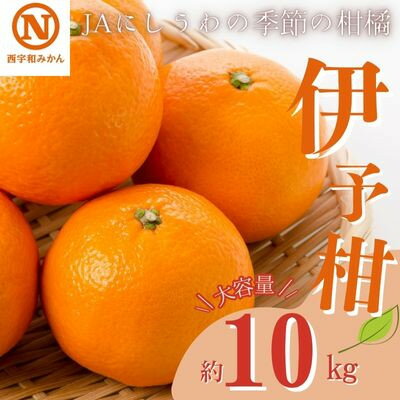 【ふるさと納税】JAにしうわの季節の柑橘(伊予柑 約10kg)【E08-7】【1474221】
