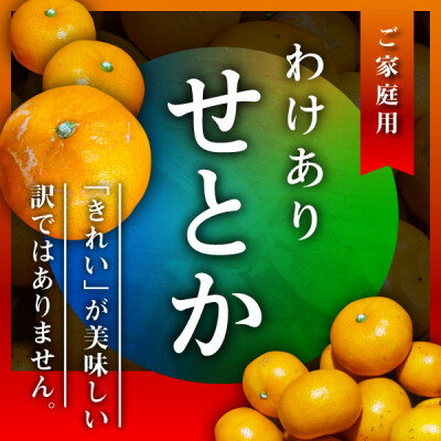 【ふるさと納税】三代目のわけありせとか4kg【サイズ不揃い・傷】【C31-34】【配送不可地域：離島】【1488065】