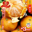 【ふるさと納税】2026年4月発送開始 甘みが強くて濃厚な味わい‼初夏のみかん「なつみ」約3kg 【C39-57】_ みかん ミカン 柑橘 なつみ 南津海 新品種 果物 くだもの フルーツ 旬 愛媛 濃厚 甘み 国産 産直 産地直送 【配送不可地域:離島】【1491395】