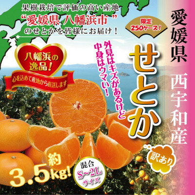 【ふるさと納税】柑橘の大トロ!「せとか」約3.5キロ　限定250個【訳あり品・家庭向け】【C39-51】【配送不可地域：離島】【1491413】