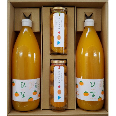 【ふるさと納税】みかんジュースと手作りシロップ漬けのセット【D18-1】_ ジュース ミカンジュース みかんジュース シロップ漬け 温州 セット ストレート 100% 旬 1L 柑橘 愛媛 国産 ドリンク 飲料 果汁 希少 食べ比べ 自家製 無添加 【1491445】