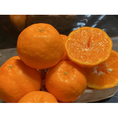太陽と海のポンカン5kg[家庭用][C73-5]