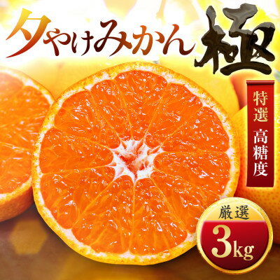 【ふるさと納税】【甘みが濃縮されたみかん】愛媛で育った夕やけみかん【極】3kg【C49-25】【1508877】 【ふるさと納税】【甘みが濃縮されたみかん】愛媛で育った夕やけみかん【極】3kg【C49-25】【1508877】
