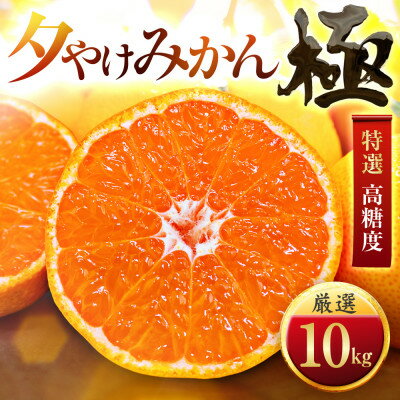 【ふるさと納税】【甘みが濃縮されたみかん】愛媛で育った夕やけみかん【極】10kg【F49-27】_ みかん ミカン 柑橘 オリジナル 果物 くだもの フルーツ 甘い 希少 愛媛 デザート 愛媛みかん 密柑 高糖度 極 ジューシー 果汁たっぷり 厳選 【1508879】
