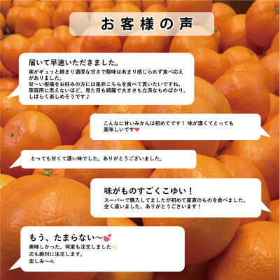 【ふるさと納税】【太陽をたっぷり浴びた】極早生みかん【極】3kg【C49-31】【1508889】