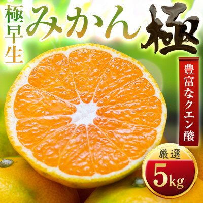 【ふるさと納税】【太陽をたっぷり浴びた】極早生みかん【極】5kg(小玉)【C49-34】_ みかん ミカン 柑橘 果物 くだもの フルーツ 極早生 早生 希少 愛媛 デザート 愛媛みかん 極 ジューシー 果汁たっぷり 厳選 甘みと酸味 おやつ 【1508897】 【ふるさと納税】【太陽をたっぷり浴びた】極早生みかん【極】5kg(小玉)【C49-34】_ みかん ミカン 柑橘 果物 くだもの フルーツ 極早生 早生 希少 愛媛 デザート 愛媛みかん 極 ジューシー 果汁たっぷり 厳選 甘みと酸味 おやつ 【1508897】