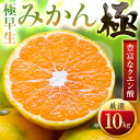 【ふるさと納税】【太陽をたっぷり浴びた】極早生みかん【極】10kg(小玉)【F49-36】【1508907】(4)